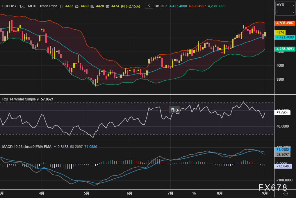 节日采购潮与原油联袂助推，棕榈油突破倒计时还剩什么变量？(图2)